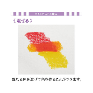 ぺんてる Vistage(ヴィスタージュ)大人の水彩パステル 12色 F021292-GHW1-12-イメージ5