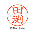 シヤチハタ ネームペン用ネーム シルバー 既製 田渕 FC47809-X-GPS-2423