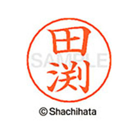 シヤチハタ ネームペン用ネーム シルバー 既製 田渕 FC47809-X-GPS-2423
