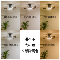 HotaluX XZF-06433KRCSG LEDシーリングファン |エディオン公式通販