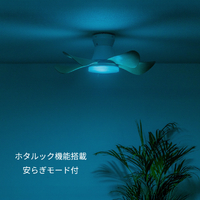 HotaluX XZF-06433KRCSG LEDシーリングファン |エディオン公式通販
