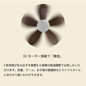 HotaluX LEDシーリングファン XZF-06433KRCSG-イメージ13