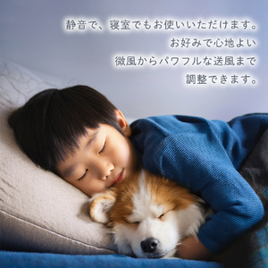 HotaluX LEDシーリングファン XZF-06433KRCSG-イメージ14