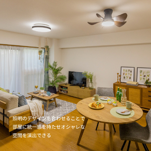 HotaluX LEDシーリングファン XZF-06433KRCSG-イメージ16
