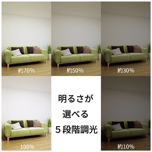 HotaluX LEDシーリングファン XZF-06433KRCSG-イメージ3