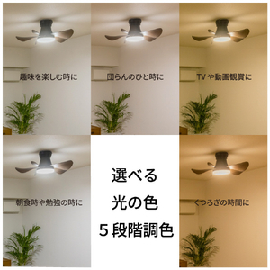 HotaluX LEDシーリングファン XZF-06433KRCSG-イメージ4
