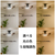 HotaluX LEDシーリングファン XZF-06433KRCSG-イメージ4