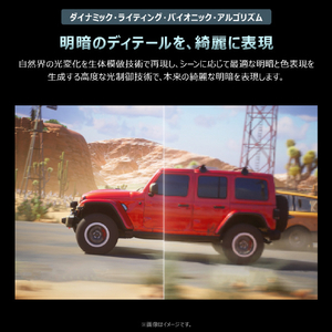 TCL 55インチ4K Mini LED液晶テレビ e angle select 55G99L-JP-イメージ19