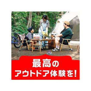 アース製薬 アース虫よけ線香 モンスーン 100巻 FC401MN-イメージ2