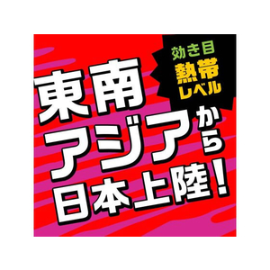 アース製薬 アース虫よけ線香 モンスーン 100巻 FC401MN-イメージ3