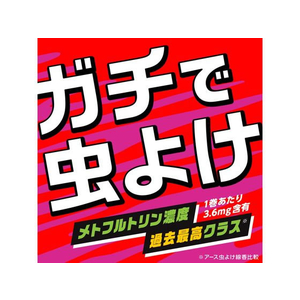 アース製薬 アース虫よけ線香 モンスーン 100巻 FC401MN-イメージ4