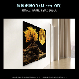 TCL 65インチ4K Mini LED液晶テレビ e angle select 65G99L-JP-イメージ18