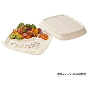 パックスタイル バガス容器 BB弁当 N23-23F 共蓋 50枚 FC314SH-00653869-イメージ3