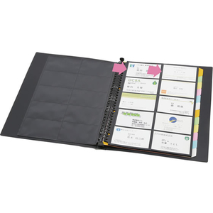 キングジム ショットドックス 名刺ホルダー差替A4 背幅25黒 F890078-36SDｸﾛ-イメージ2