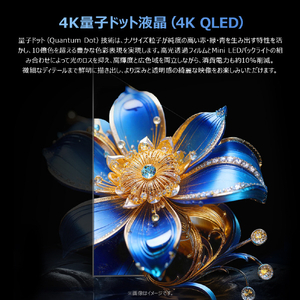 TCL 4K QLED液晶テレビ e angle select 43T69D-イメージ11