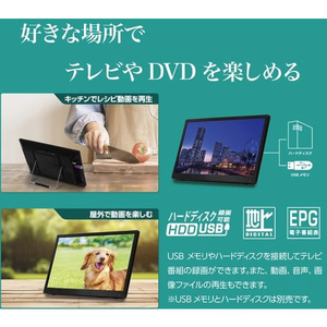 OVERTIME TVチューナー付き14インチポータブルDVDプレーヤー 黒 OT-TVD14TE-イメージ5