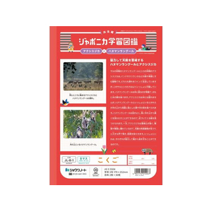 ショウワノート ジャポニカ学習帳 こくご 8マス FCE838U-JL-8-1-イメージ2