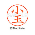 シヤチハタ ネームペン用ネーム シルバー 既製 小玉 FC46828-X-GPS-1057