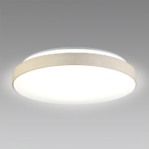 HotaluX LEDシーリングライト HLDC12435SG-イメージ1