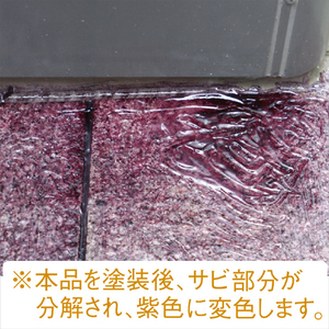 ＫＡＮＳＡＩ 復活洗浄剤８０ｇ サビ取り用 KANSAI “復活洗浄剤”（サビ取り用） 414-008-イメージ3
