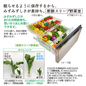 日立 500L 6ドア冷蔵庫 VWCタイプ ライトゴールド RVWC50XN-イメージ6