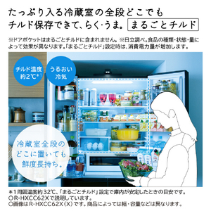 日立 500L 6ドア冷蔵庫 VWCタイプ ライトゴールド RVWC50XN-イメージ7