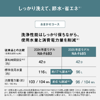 【トータル15回のみ使用・極美品】Panasonic6kg 洗濯機NA-F6B5 パナソニック NA-F6B5-C 全自動洗濯機 洗濯・脱水容量6kg ライト
