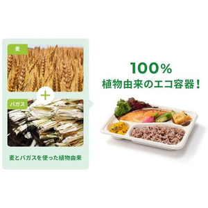 パックスタイル バガス容器 WB弁当 23-17C ラミ 本体 50枚 FC321SH-00653877-イメージ4