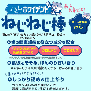 ドギーマン ホワイデント ねじねじ棒 バナナ味 20g FCK119E-イメージ5