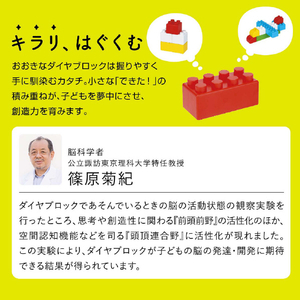 カワダ おおきなダイヤブロック はじめてのブロックあそび ボックス(増量版) ｵｵｷﾅﾀﾞｲﾔﾌﾞﾛﾂｸｱｿﾋﾞﾎﾞﾂｸｽZ-イメージ8