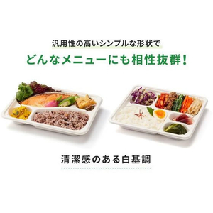 パックスタイル バガス容器 WB弁当 24-20A ラミ 本体 50枚 FC324SH-00653880-イメージ8