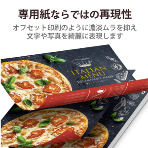 エレコム レーザープリンタ用 両面セミ光沢紙 厚手 A4サイズ(50枚入) ELK-GANA450-イメージ5