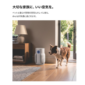 シャークニンジャ Shark BreatheClear 空気清浄機 グレー HP162JGY-イメージ10