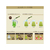 味の素ＡＧＦ AGFプロフェッショナル 玉露入り緑茶 2L用 FCB6544-イメージ4
