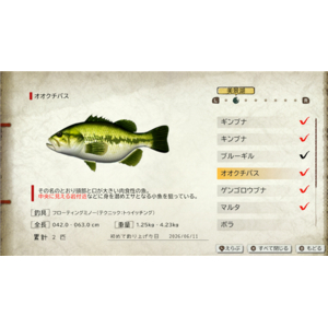 イマジニア ぼくと釣り日記【Switch 2】 POTPACPAA-イメージ3