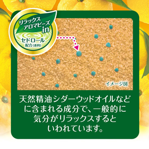 白元アース HERSバスラボボトル 柚子の香り 540g FCF945A-イメージ4