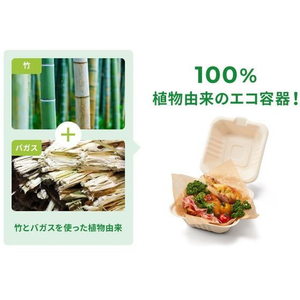 パックスタイル バガス容器 BBランチ 220-150 ラミ 50枚 FC327SH-00654680-イメージ7