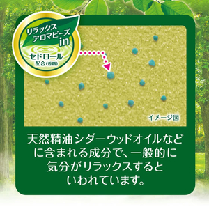白元アース HERSバスラボボトル 森の香り 540g FCF946A-イメージ4