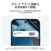 Google GA09963-JP Google Nest Cam Outdoor(電源アダプター式 / 第 2