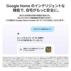 Google Google Nest Cam Outdoor(電源アダプター式 / 第 2 世代) Snow GA09963-JP-イメージ3