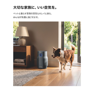 シャークニンジャ Shark BreatheClear 空気清浄機 ブラック HP162JBK-イメージ10