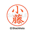 シヤチハタ ネームペン用ネーム シルバー 既製 小藤 FC46838-X-GPS-1067