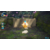 任天堂 Pikmin 4 Nintendo Switch 2 Edition + だれでもチャレンジ! ダンドリ検定【Switch 2】 NXSPAMPYC-イメージ2