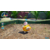 任天堂 Pikmin 4 Nintendo Switch 2 Edition + だれでもチャレンジ! ダンドリ検定【Switch 2】 NXSPAMPYC-イメージ4