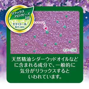 白元アース HERSバスラボボトル ナイトラベンダーの香り 540g FCF947A-イメージ4