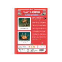 ショウワノート FCE849U-JL-41 ジャポニカ学習帳 作文帳 162字