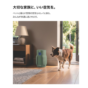 シャークニンジャ Shark BreatheClear 空気清浄機 グリーン HP162JGN-イメージ10