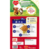 日本ペットフード FC575RW ビューティープロ ドッグ 成犬用 1歳から