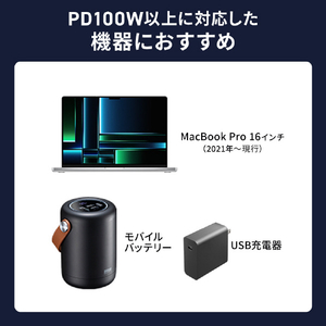サンワサプライ Type-C変換アダプタ(CtoC・L字縦挿し・40Gbps・240W) AD-USB36CCFLT-イメージ11
