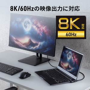 サンワサプライ Type-C変換アダプタ(CtoC・L字縦挿し・40Gbps・240W) AD-USB36CCFLT-イメージ15
